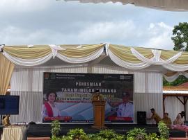 Peresmian Tanam Melon Perdana Oleh Bupati Gunungkidul, Greenhouse Pacarejo Agridaya